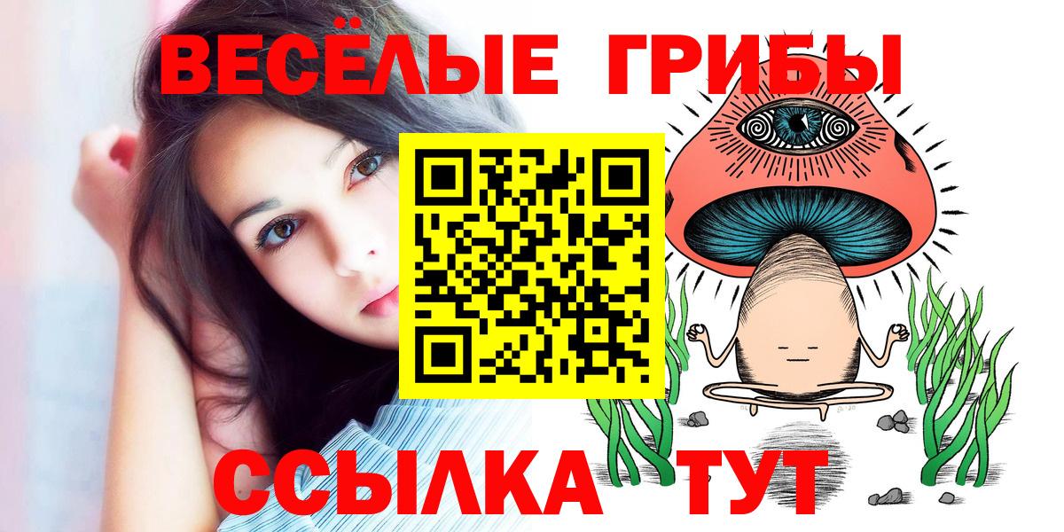 Псилоцибиновые грибы GOLDEN TEACHER  Галлюциногенные грибы мухоморы  Вход с VPN  Ижевск 